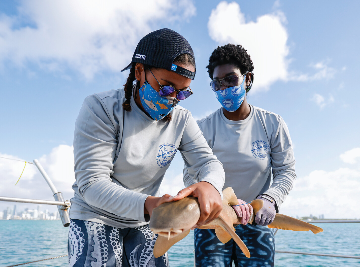 Memoir of a Shark Scientist